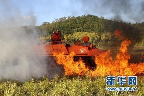 【動畫】森林草原防火“十不準”“五不燒”！這些安全知識要牢記