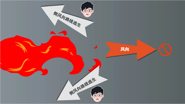 【動畫】森林草原防火“十不準”“五不燒”！這些安全知識要牢記